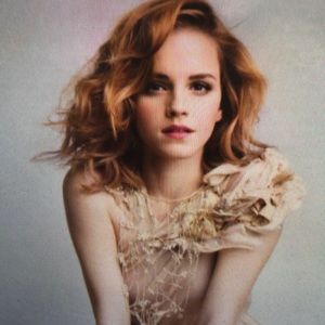 Meet your Posher, Steward